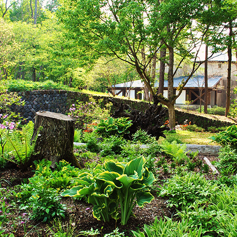 ムーゼの森のピクチャレスク・ガーデンの公式引用画像